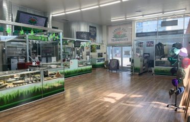 The Heart of Humboldt: The Cannabis Dispensary