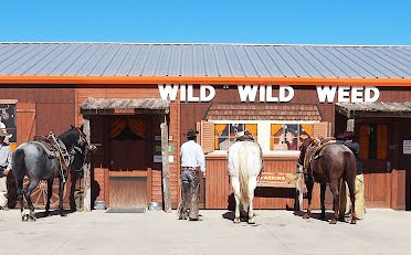 Wild Wild Weed