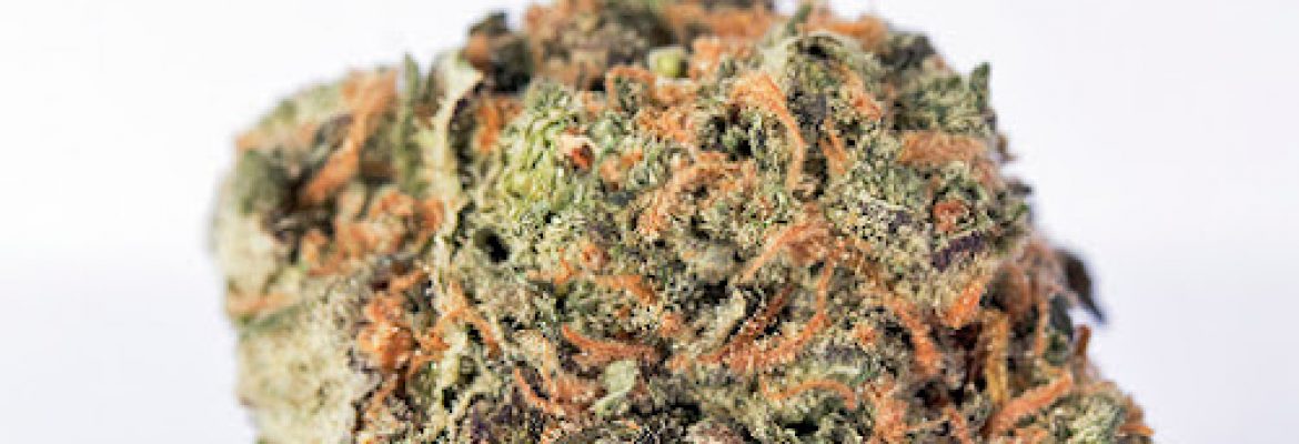 Star Buds Dispensary