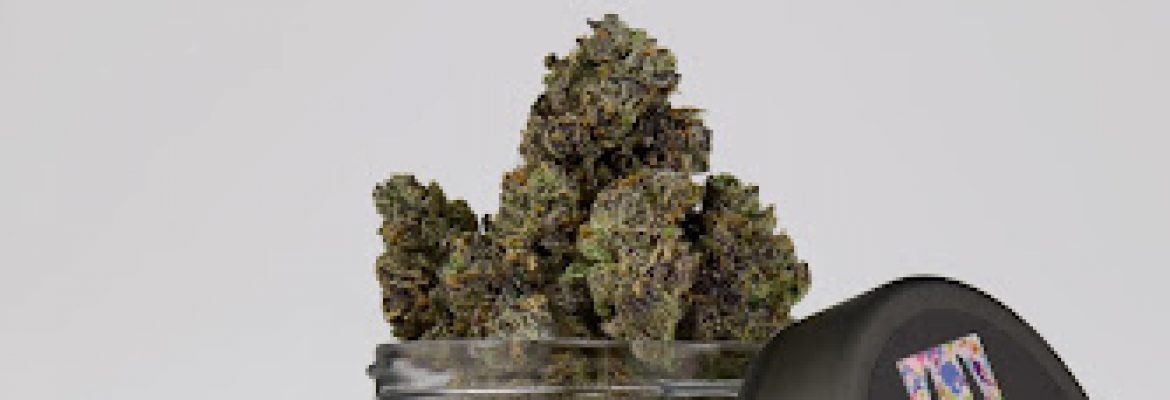 Traditional DTLA – Cannabis Dispensary