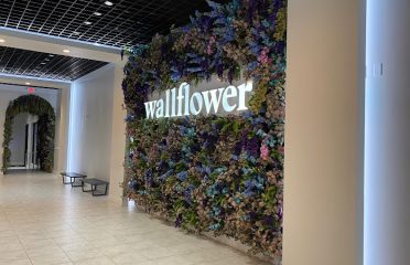 Wallflower Cannabis House Weed Dispensary Las Vegas