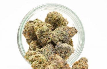 Kai Cannabis Co. – Muskegon