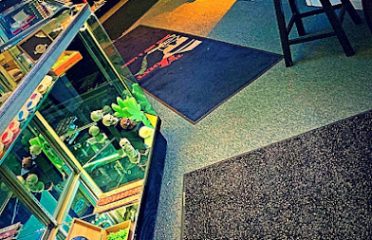 The JOINT Smoke Vape & CBD by Americanna Inc