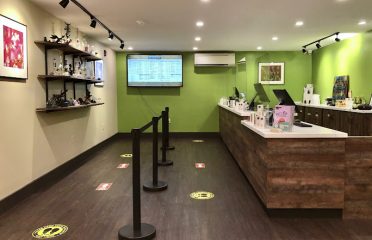 The Hempest Weed Dispensary Northampton