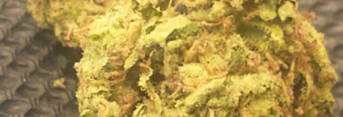Token Farms Farmersville