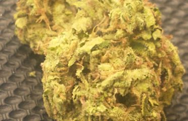 Token Farms Farmersville