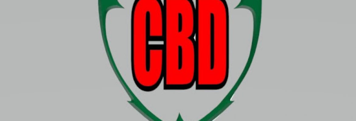 The CBD Store 2