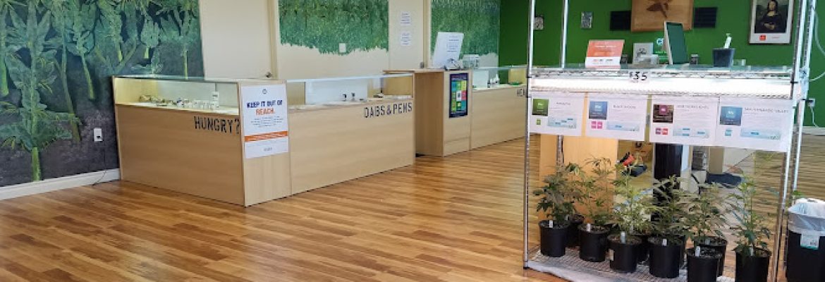 Oasis Cannabis Monmouth