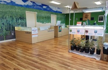 Oasis Cannabis Monmouth