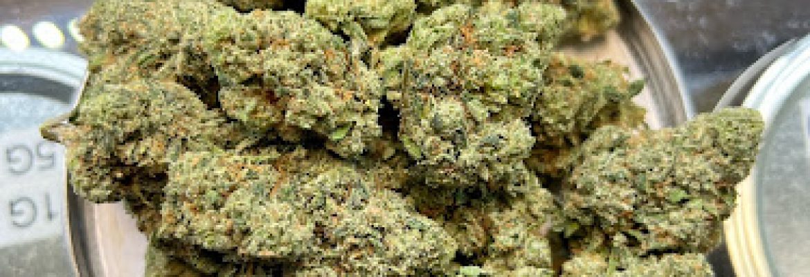 Ash Organics Cannabis Dispensary