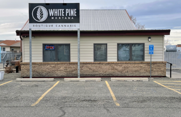 White Pine MT