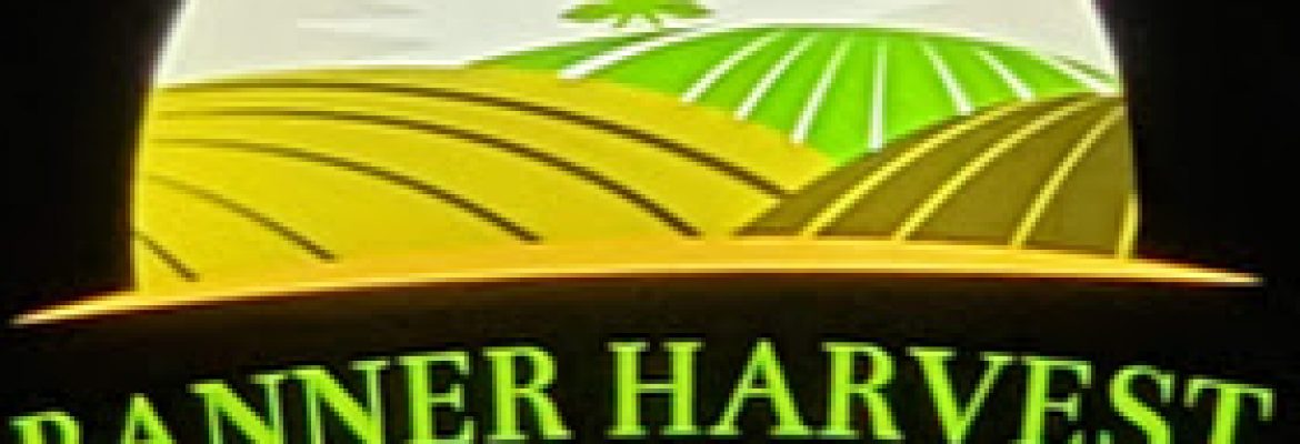 Banner Harvest CBD