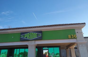 The Prime Leaf