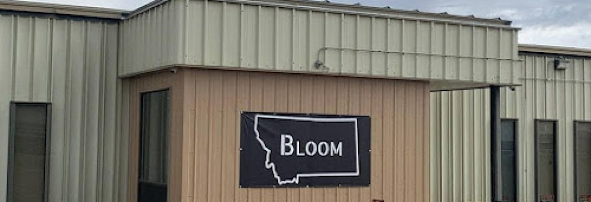 Bloom Marijuana Dispensary Sidney