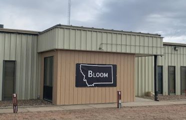 Bloom Marijuana Dispensary Sidney