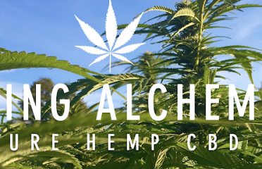 Living Alchemy