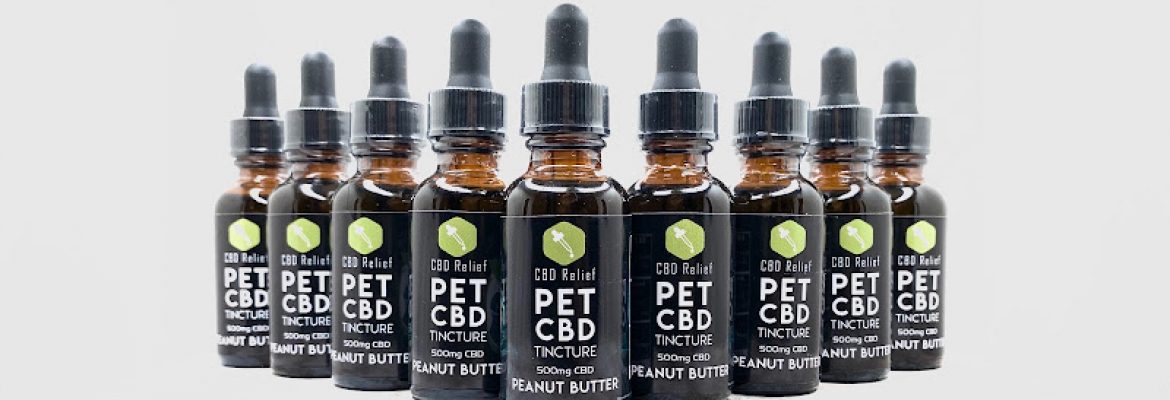 CBD Relief