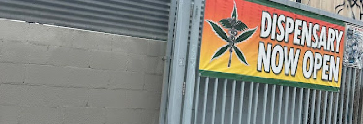 Universal Cannabis DTLA