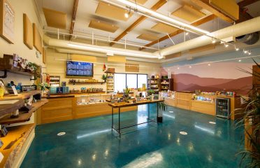 Sespe Creek Collective