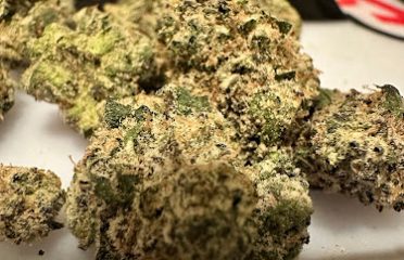 Oz Cannabis Ypsilanti – Recreational Dispensary