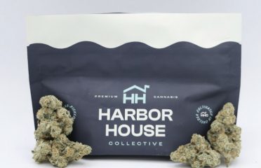 Harbor House Collective