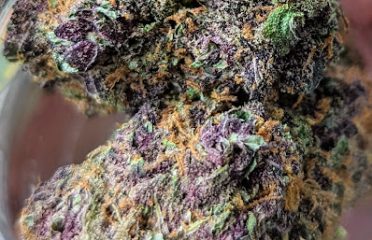 The Reef Cannabis Dispensary