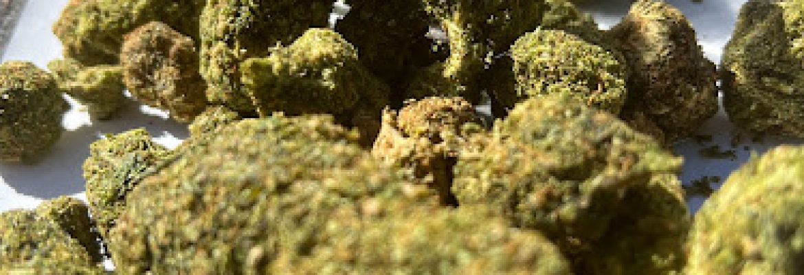Grateful Living Cannabis Taos
