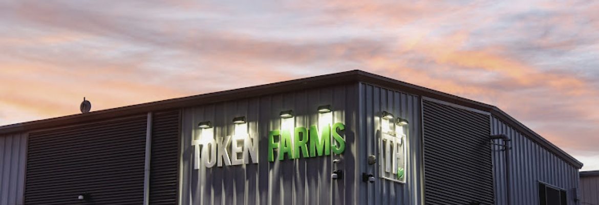 Token Farms Farmersville