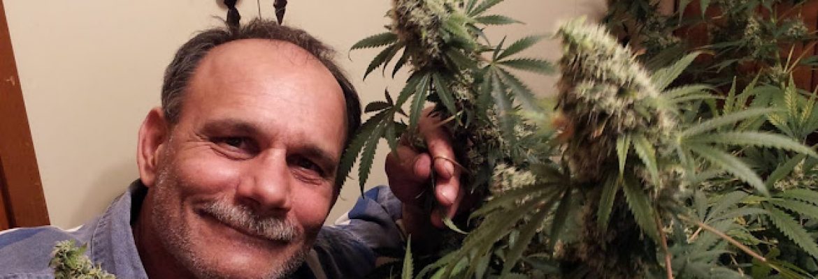 Jay Deez’s Herbs