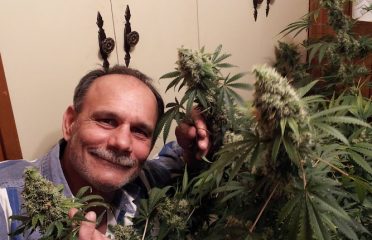 Jay Deez’s Herbs