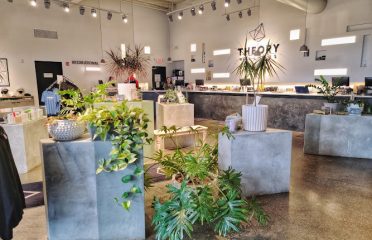 Theory Wellness Chicopee: Recreational & Medical Cannabis Dispensary