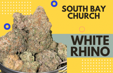 South Bay Church Cannabis Dispensary