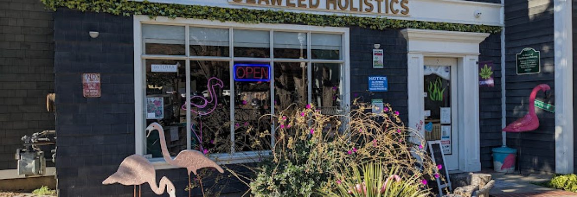 Seaweed Holistics Cannabis Dispensary