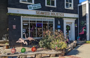 Seaweed Holistics Cannabis Dispensary