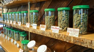 Cannabis Retailers In Alaska, Recreational Cannabis Alaska, Cannabis Dispensaries In Alaska, Cannabis Stores In Alaska