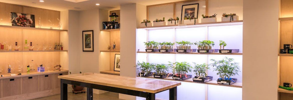 Santa Cruz Naturals – Watsonville Dispensary