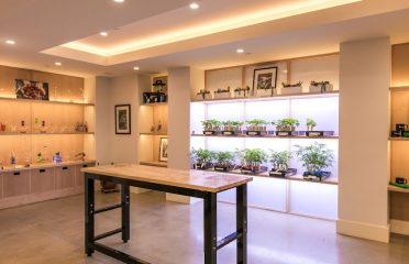 Santa Cruz Naturals – Watsonville Dispensary