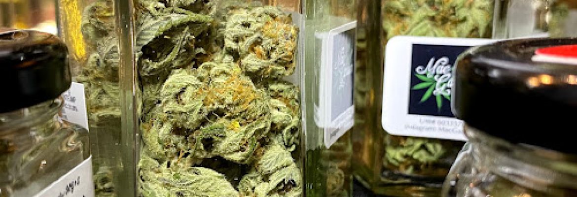 Shelton Cannabis Company