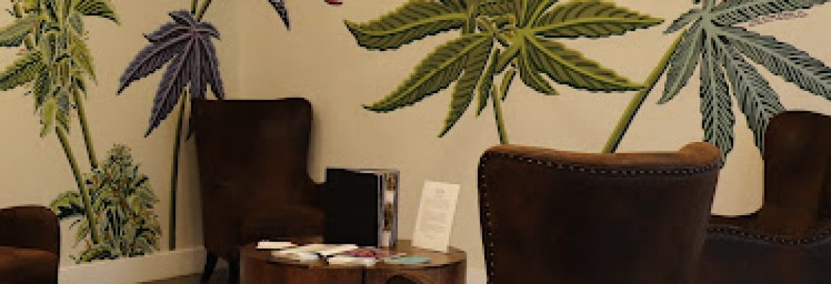 HIGHLY Recreational Dispensary (Adult use 21+) – South Portland