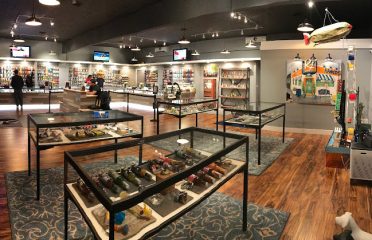 The Gallery