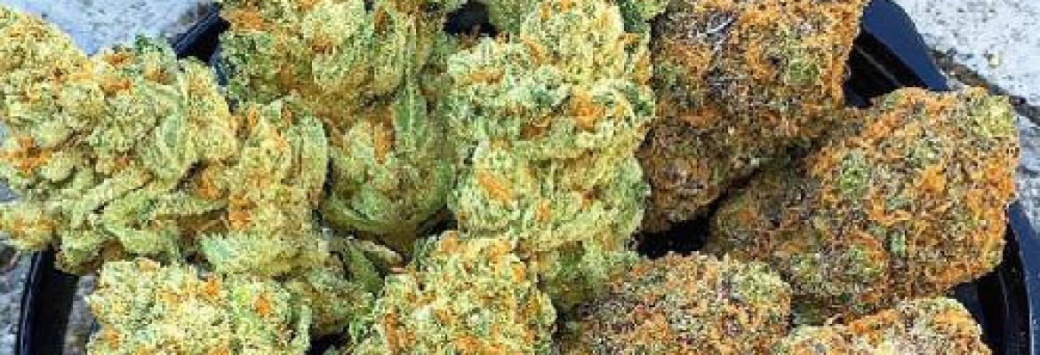 Colorado Cannabis Company