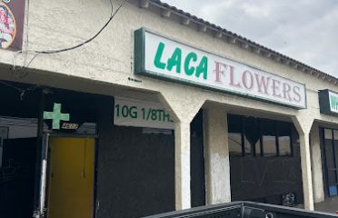 LA Flowers