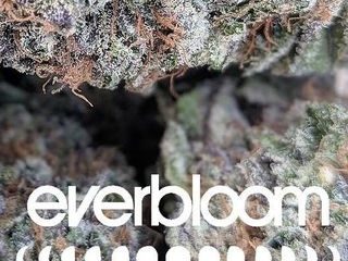 Everbloom Rifle Medical Dispensary