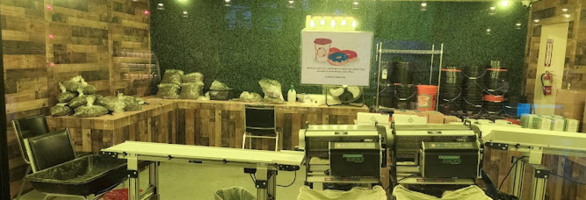 The Marijuana Factory