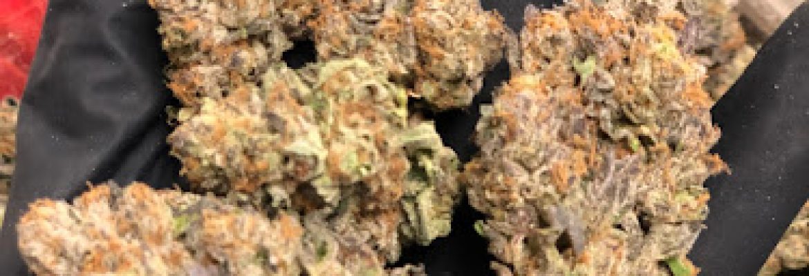The Lodge Cannabis