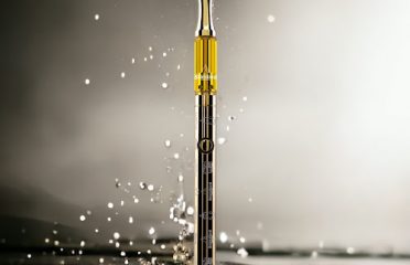 Standard Extracts CBD