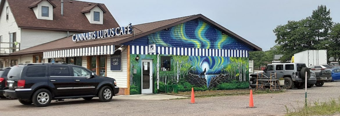 High Profile of Marquette Dispensary (Formerly Cannabis Lupus Cafe)