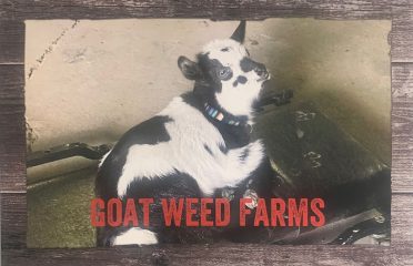 Goat Weed Farms Dispensary