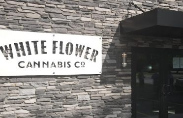 White Flower Cannabis Co.