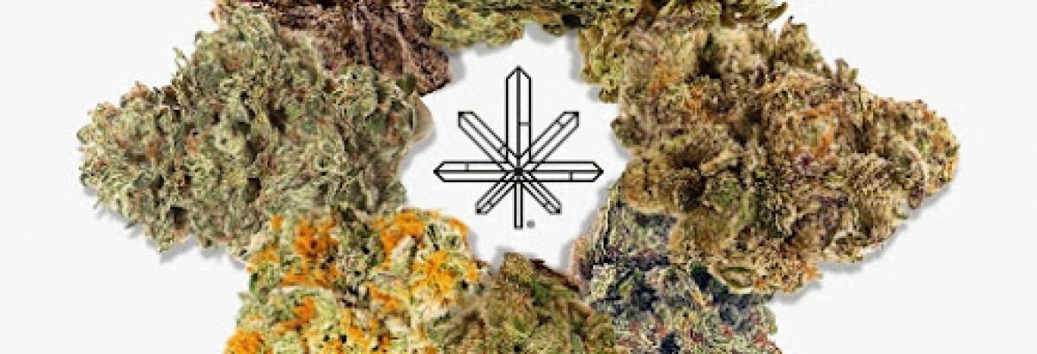 One Plant Weed Dispensary Palm Springs